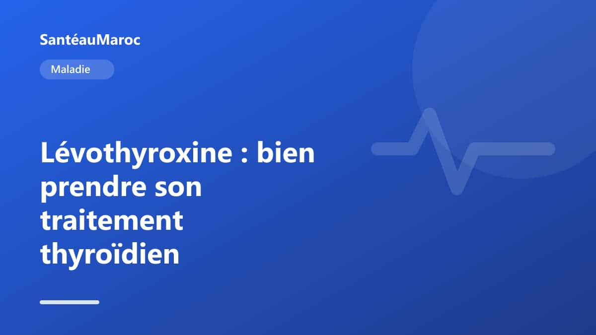 Maladie — Lévothyroxine : bien prendre son traitement thyroïdien