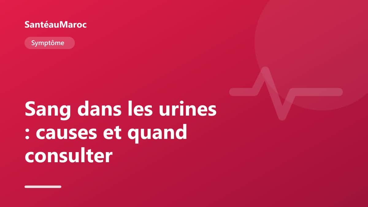 Symptôme — Sang dans les urines : causes et quand consulter